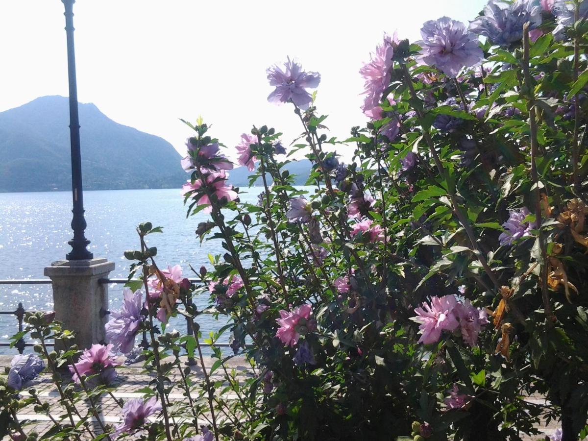 Lontani Da Casa Bed & Breakfast Borgofranco d'Ivrea Exterior photo